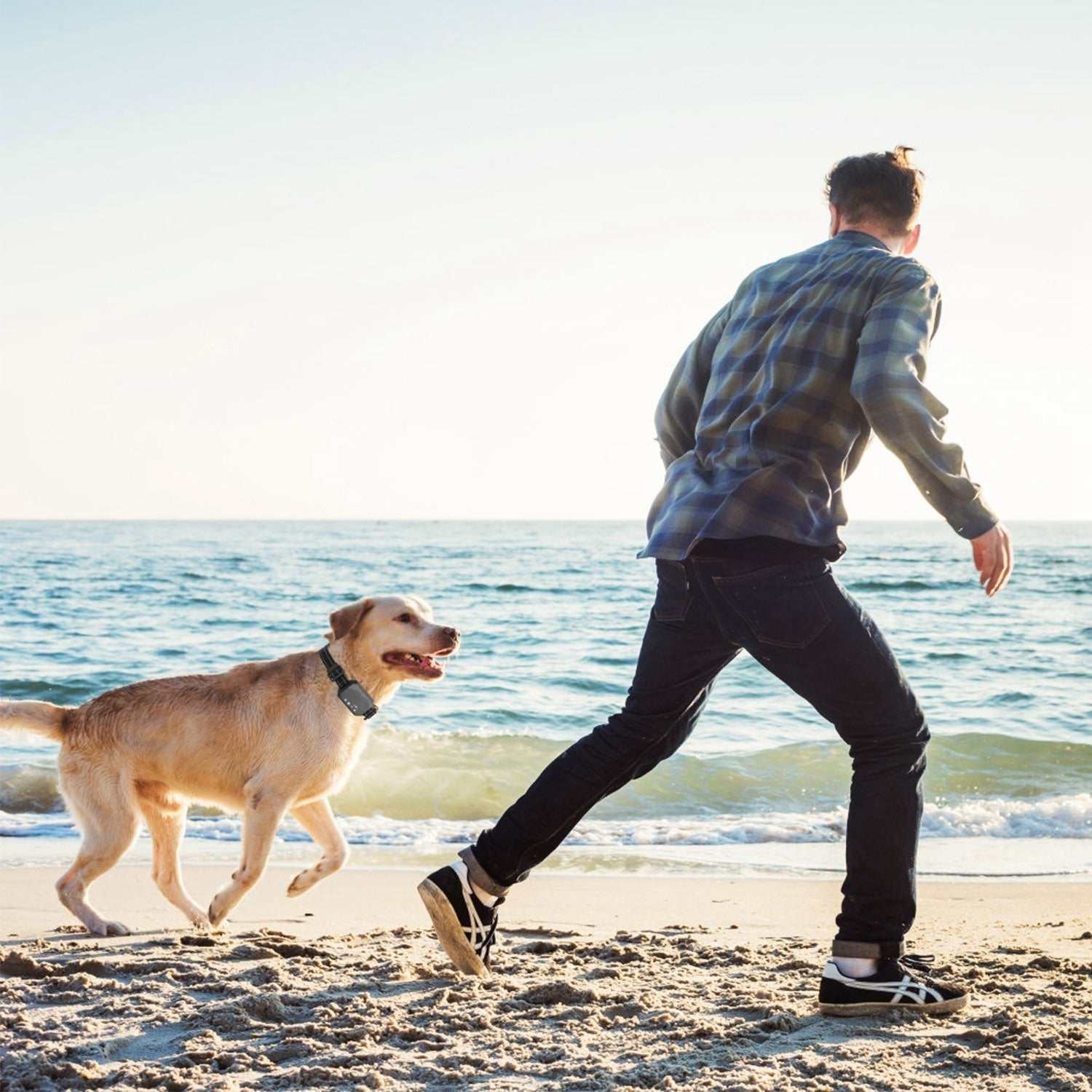 Wireless GPS Dog Fence Réglable & Étanche Collier Chien