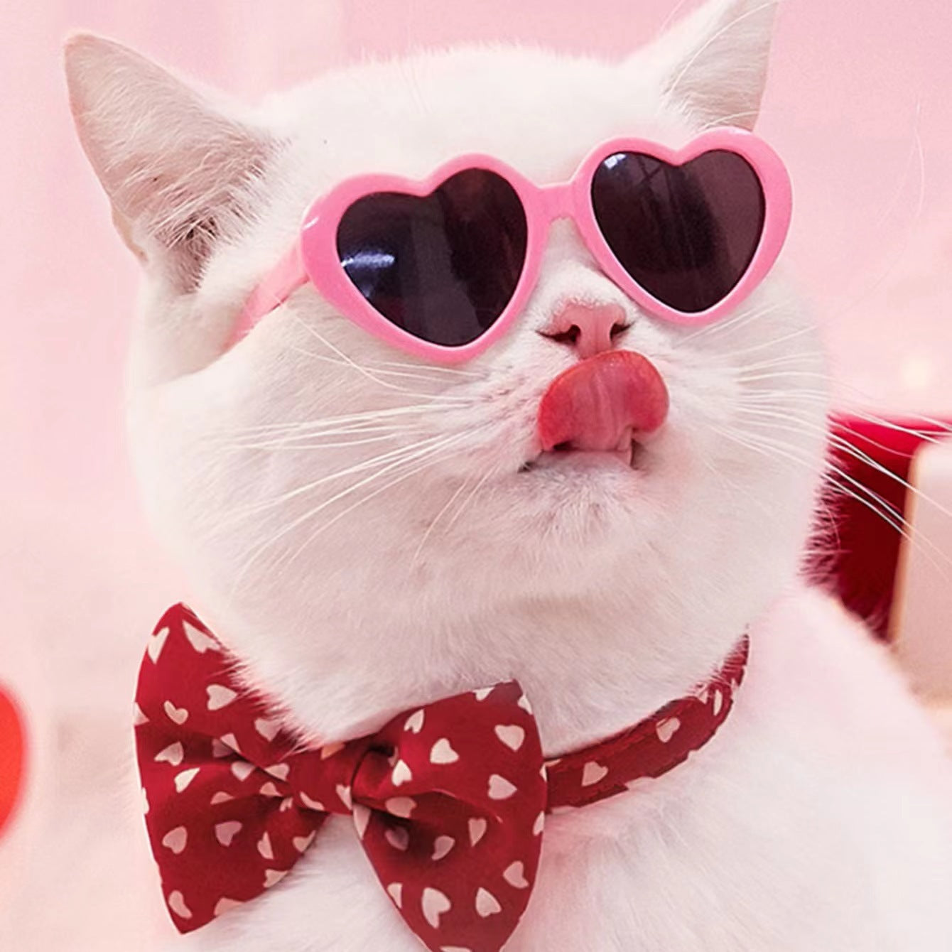 Lunettes de Soleil pour Chats - Accessoires de Jouets pour Animaux