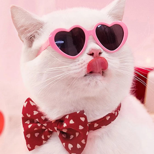 Cat Sunglasses - Pet Toys Accessories 