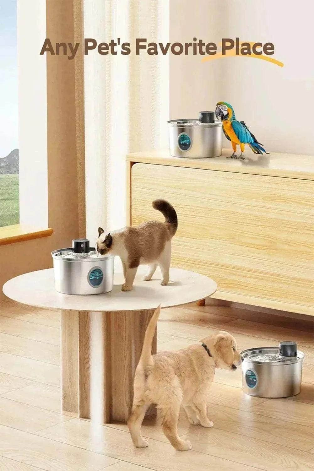 Fontaine à eau automatique en acier inoxydable pour chiens et chats | ZyFeeder 3,2 L