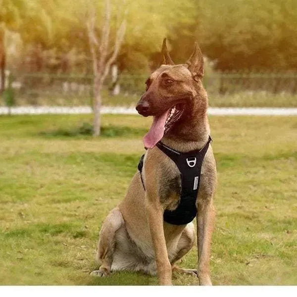 Arnés para perros TRUE LOVE antitirones | Nailon reflectante, ajustable y cómodo con asa de control