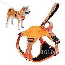 Arnés 2 en 1 con correa retráctil y antitirones para perros