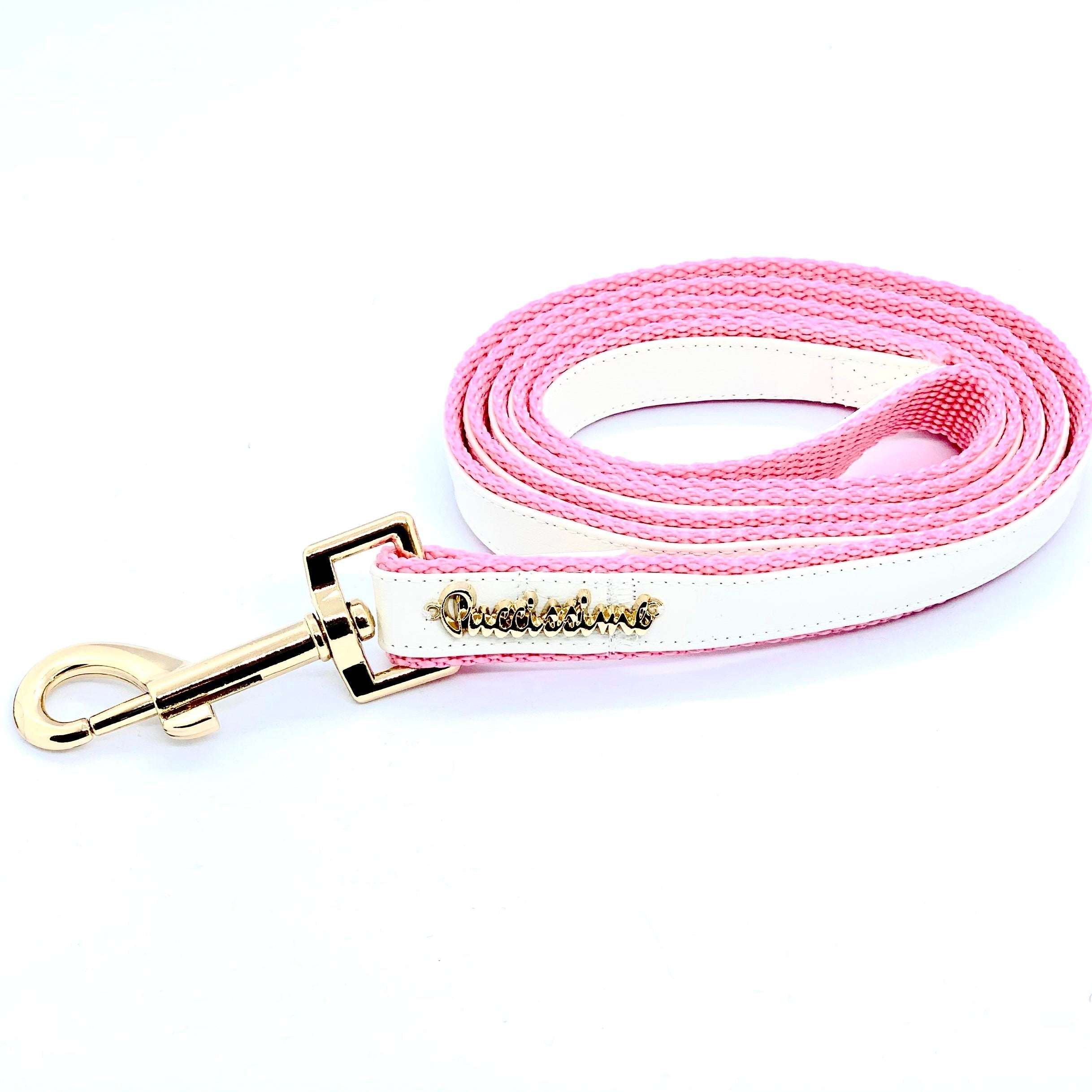 Laisse élégante en cuir pour chiens | Laisse My Baby Girl 