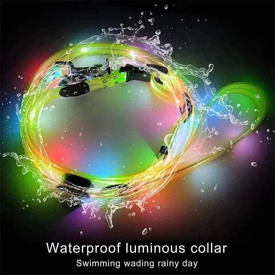 LED Light-Up Dog Leash and Collar | Night Safety, Waterproof & Rechargeable
