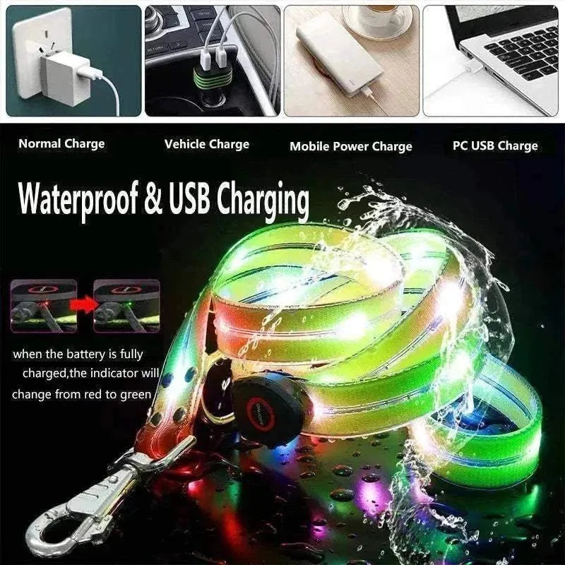 LED Light-Up Dog Leash and Collar | Night Safety, Waterproof & Rechargeable