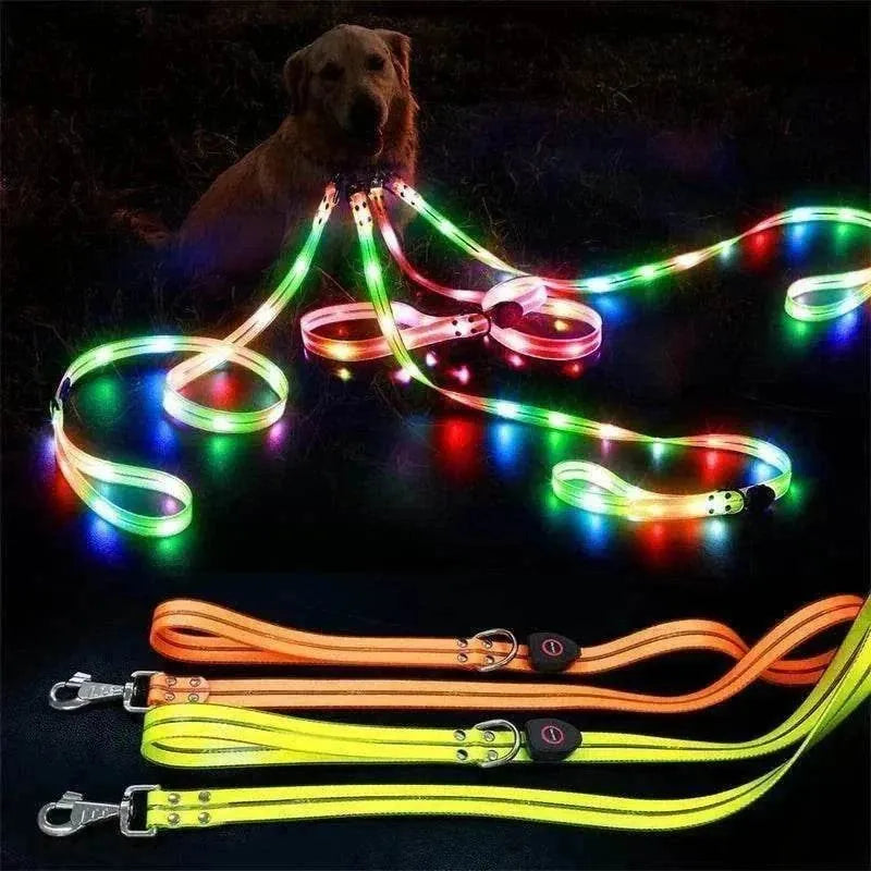 LED Light-Up Dog Leash and Collar | Night Safety, Waterproof & Rechargeable