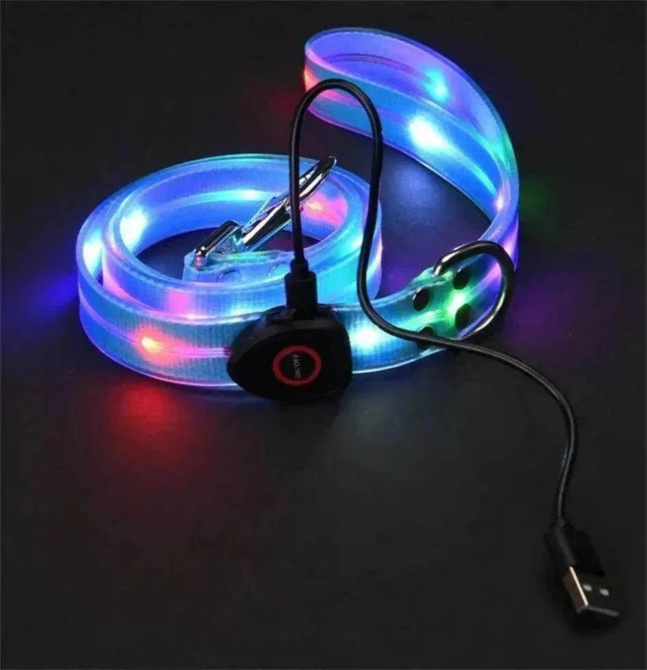 LED Light-Up Dog Leash and Collar | Night Safety, Waterproof & Rechargeable