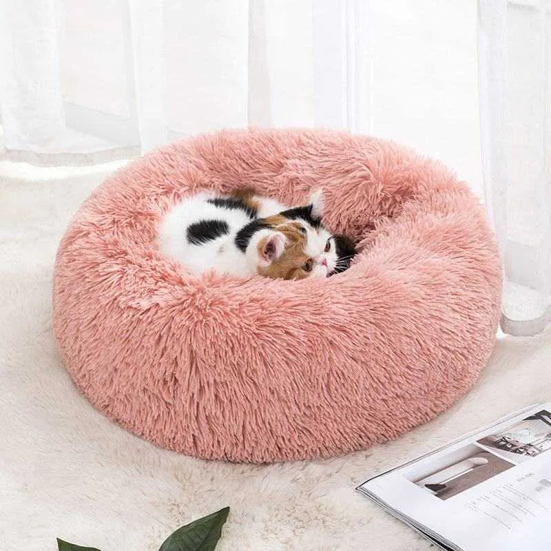 Self-Warming Cat Bed | Optimal Comfort & Warmth