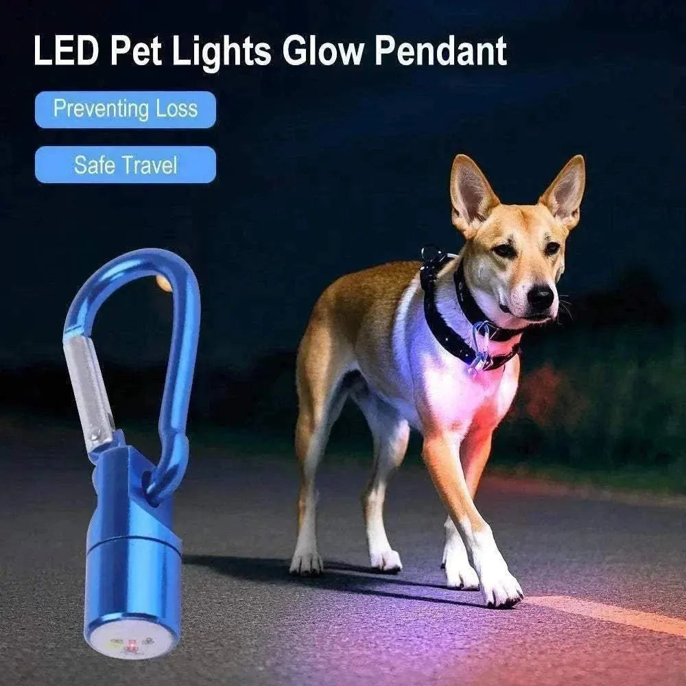 Placa LED para collar de perro | Accesorio de seguridad nocturna y antipérdida