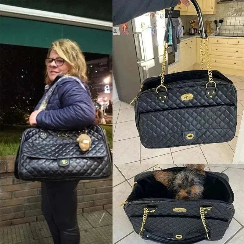 Fashionable pet carrier for dogs & cats | Premium style for small companions