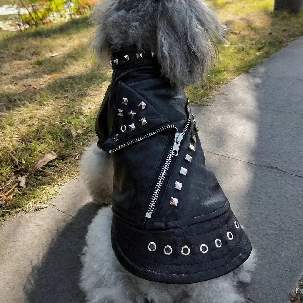 Veste d’hiver pour chiens | Style cuir chic et protection optimale