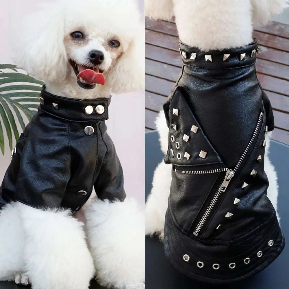 Veste d’hiver pour chiens | Style cuir chic et protection optimale